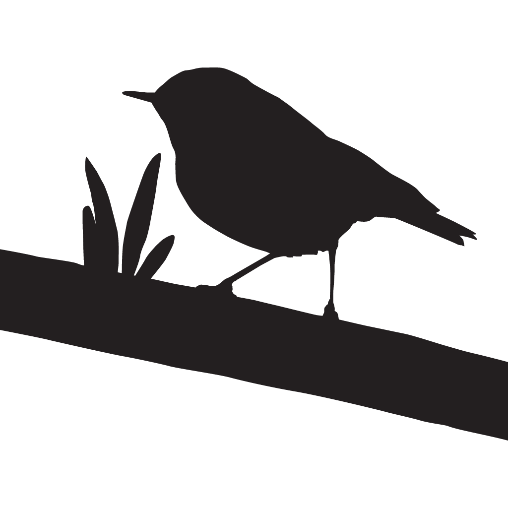 Silhouette Kinglets