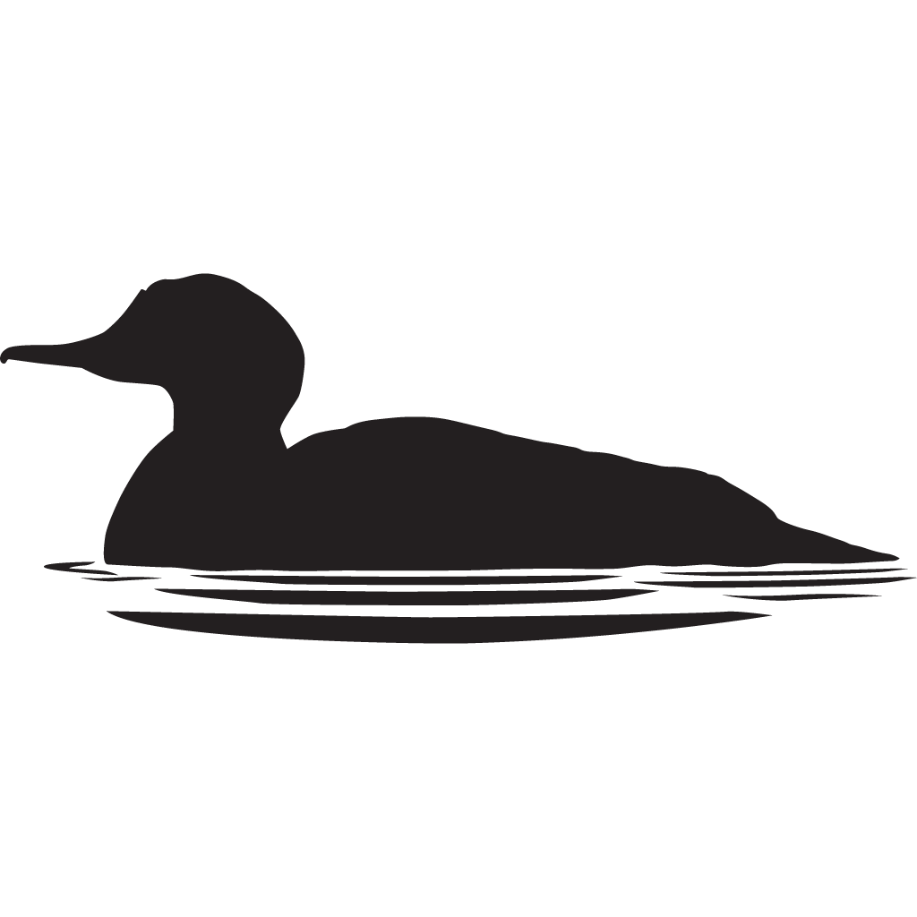 Silhouette Ducks