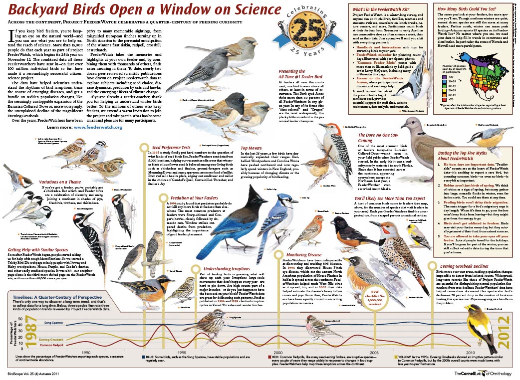 Backyard Birdfeeder Watch November April