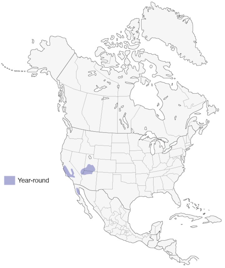 california migration map