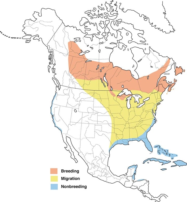 Gradient Density Map of Native Palm Species per 10000 km2 (Location of ...