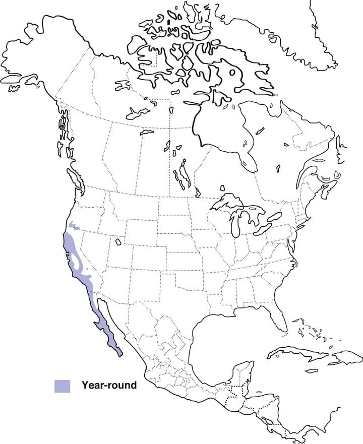 california migration map