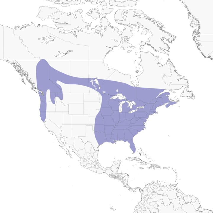 Northern Spotted Owl Habitat Map