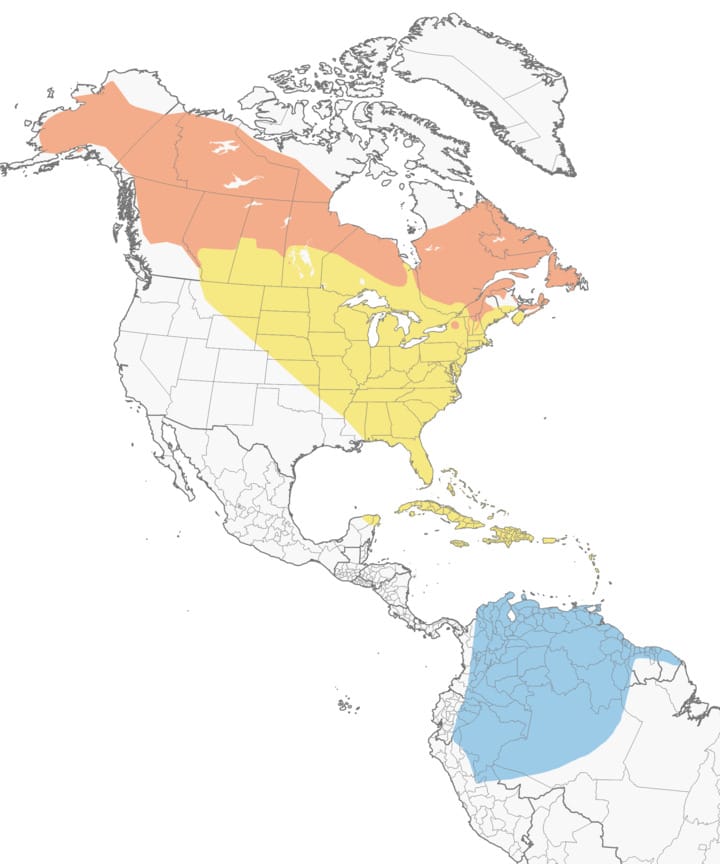 Blackpoll Warbler Migration Map