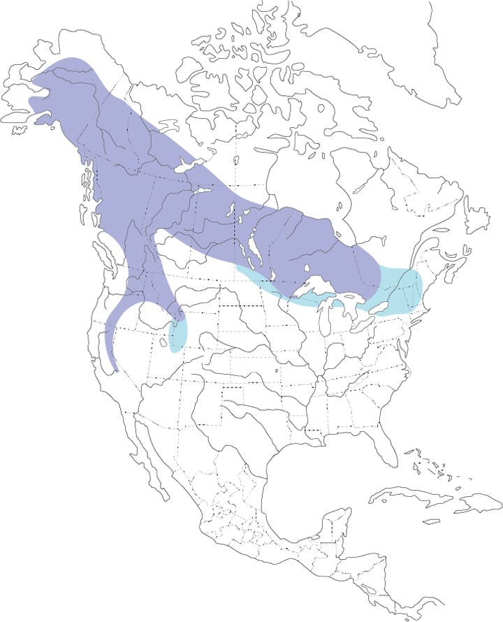 great gray owls habitat map