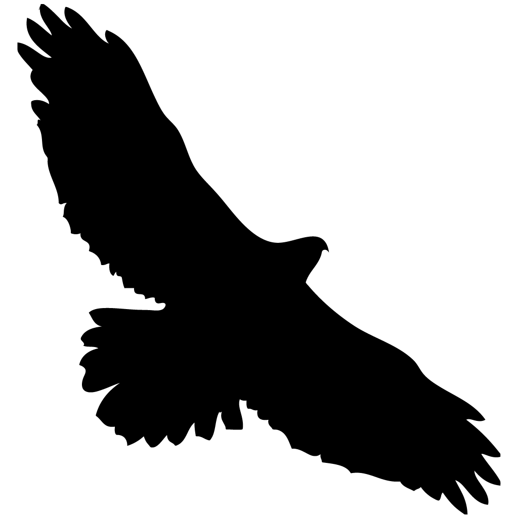 red tail hawk silhouette