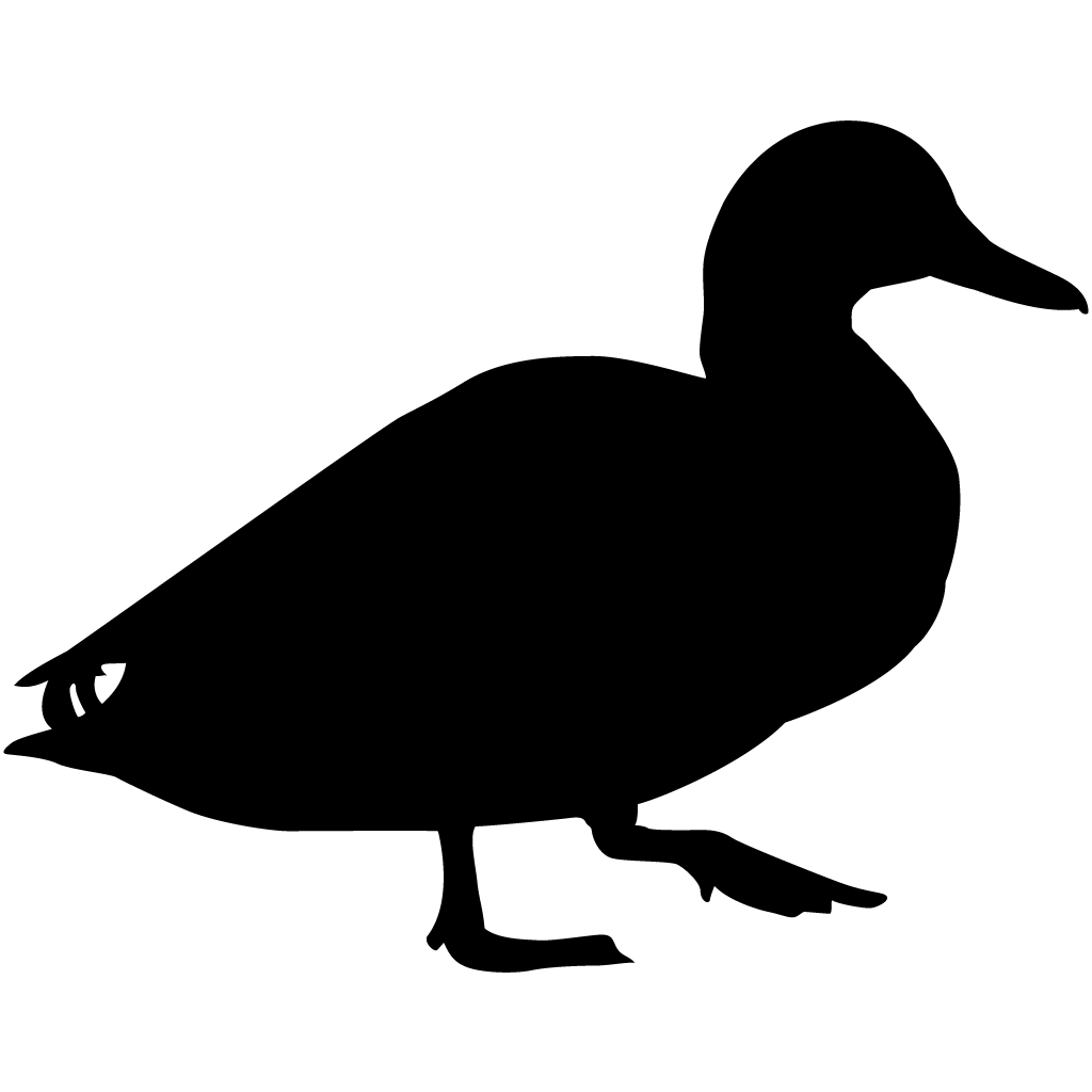 Ducks Silhouette