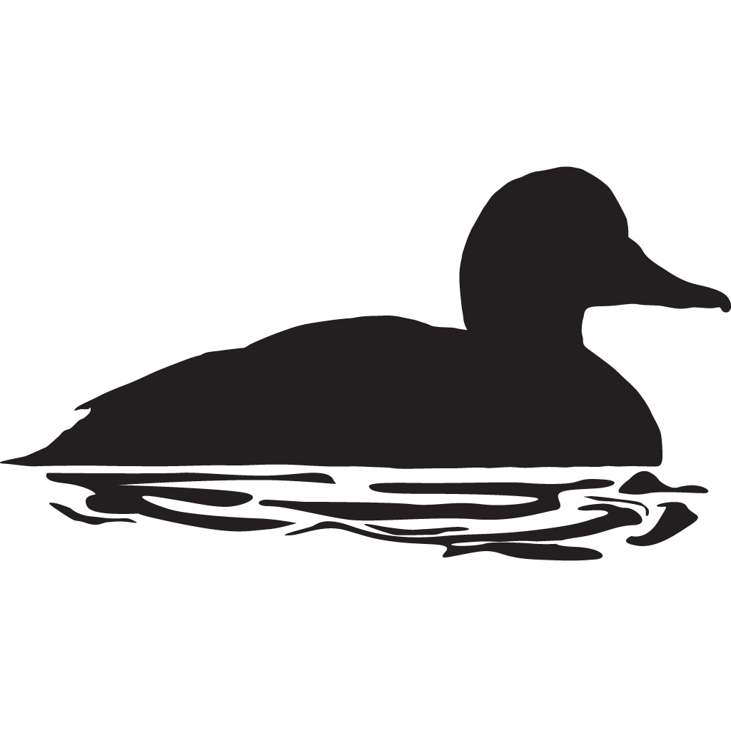 Silhouette Ducks