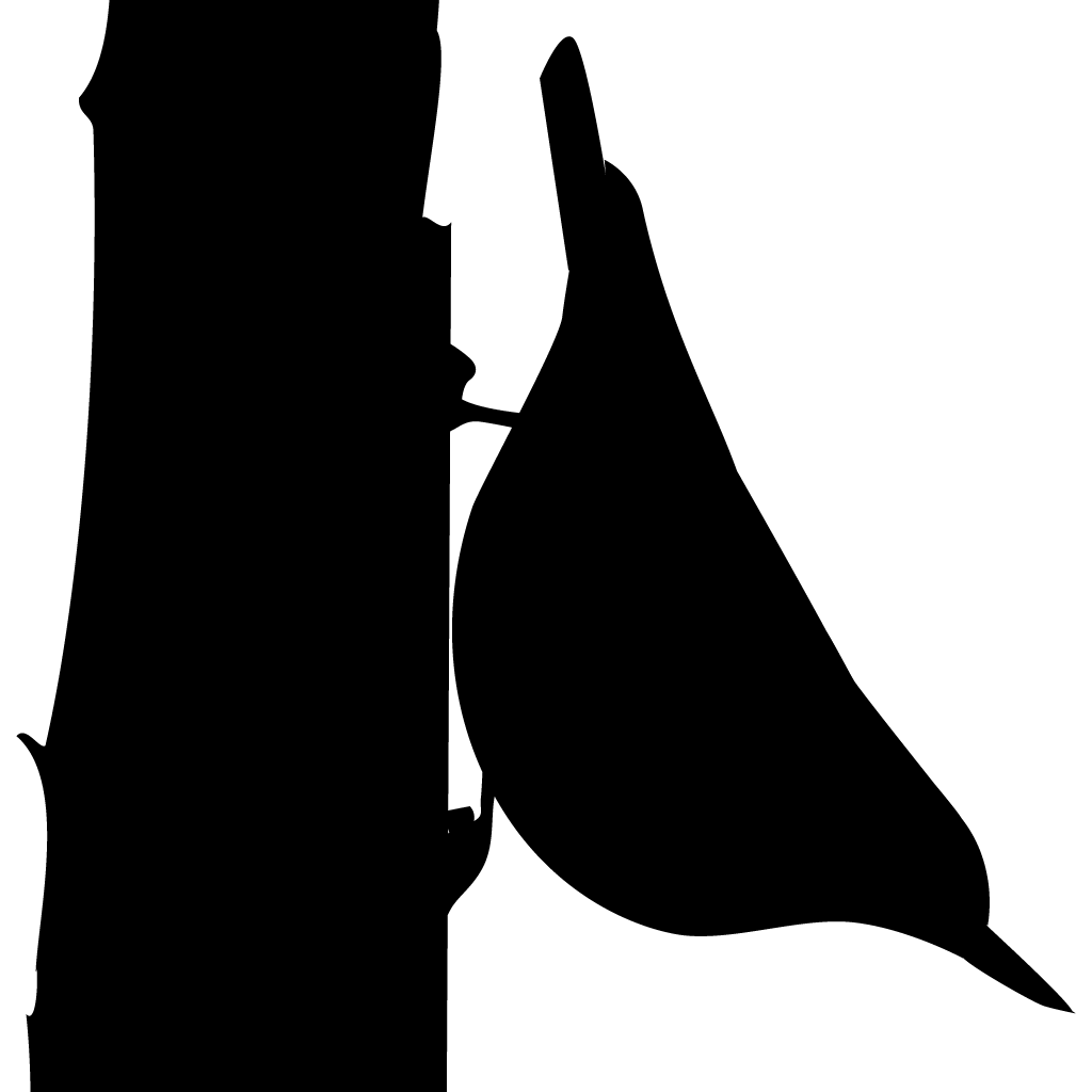 nuthatch silhouette