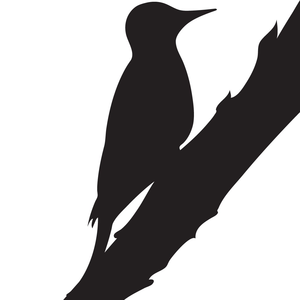 Woodpeckers Silhouette