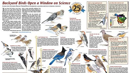 Backyard Birds Open a Window on Science Through 25 Years of Project ...