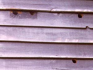 woodpecker holes in siding
