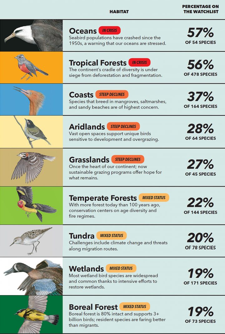 The State of North America’s Birds: How Are Birds Faring in North ...