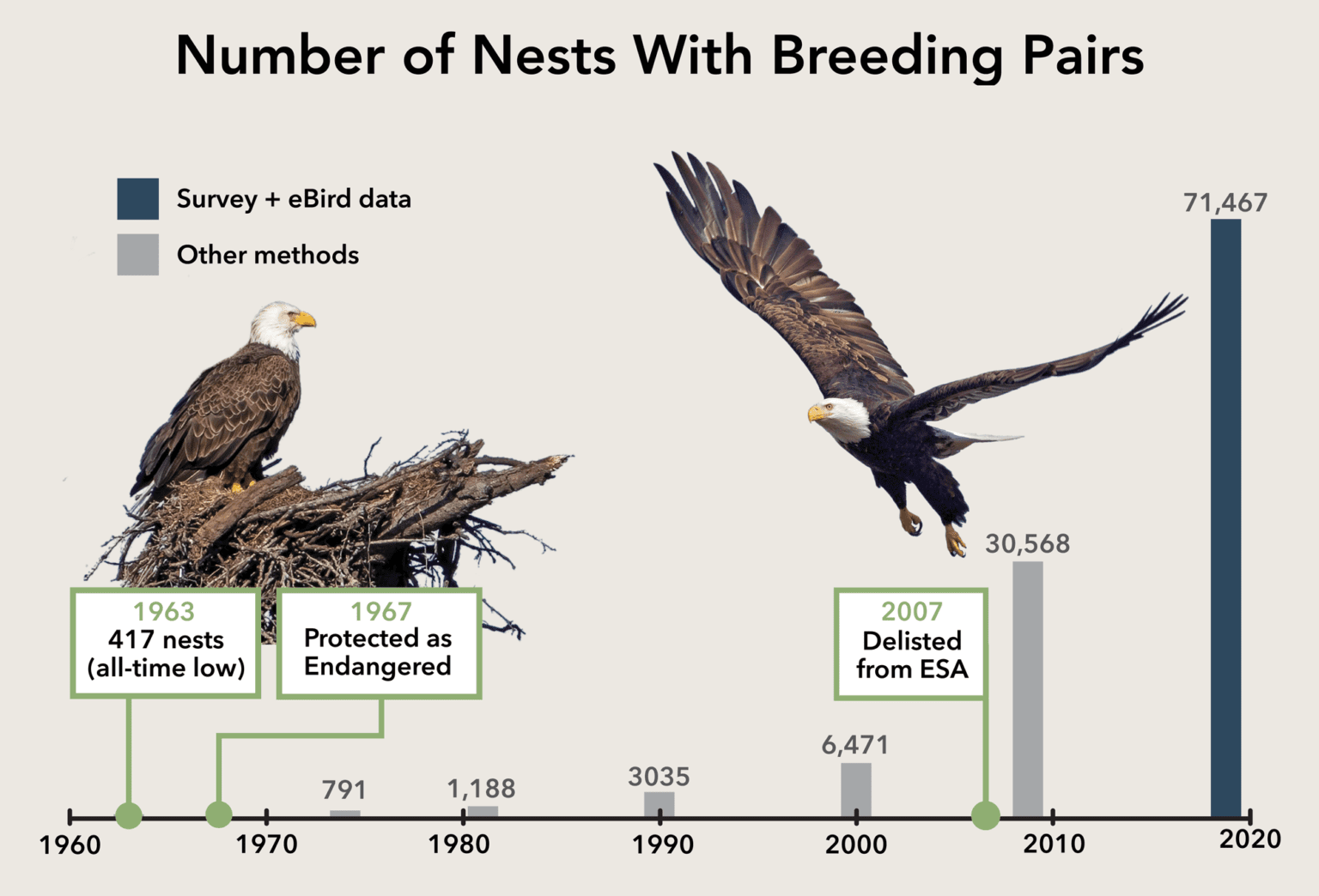 More Than 316,000 Bald Eagles Live In The Lower 48, New Estimate Says ...