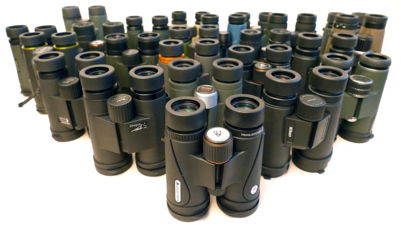 The Cornell Lab Review: Affordable Full-Size 8x42 Binoculars