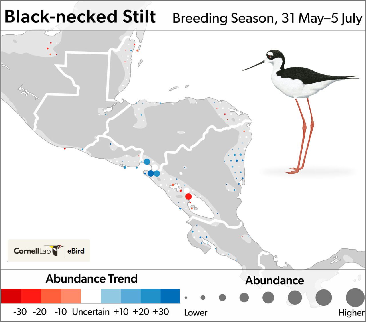 Gray and white map with red and blue colored dots showing abundance of the species, and an illustration of a black and white bird with long orange legs.