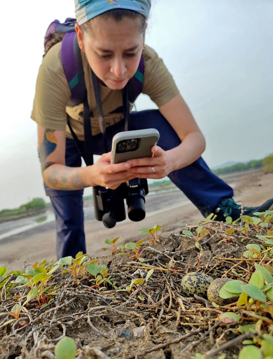 A woman stands over a nest and takes a photo with a phone.