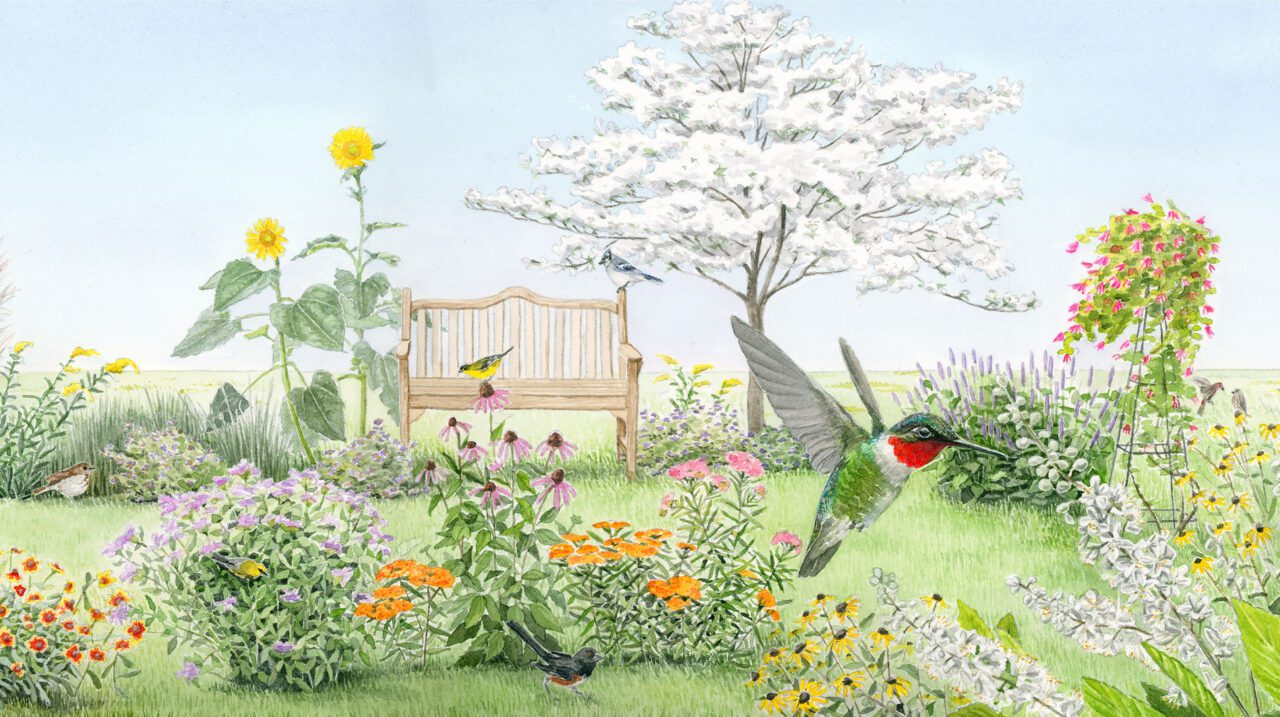 Illustration of a garden with lots of flowers and birds.