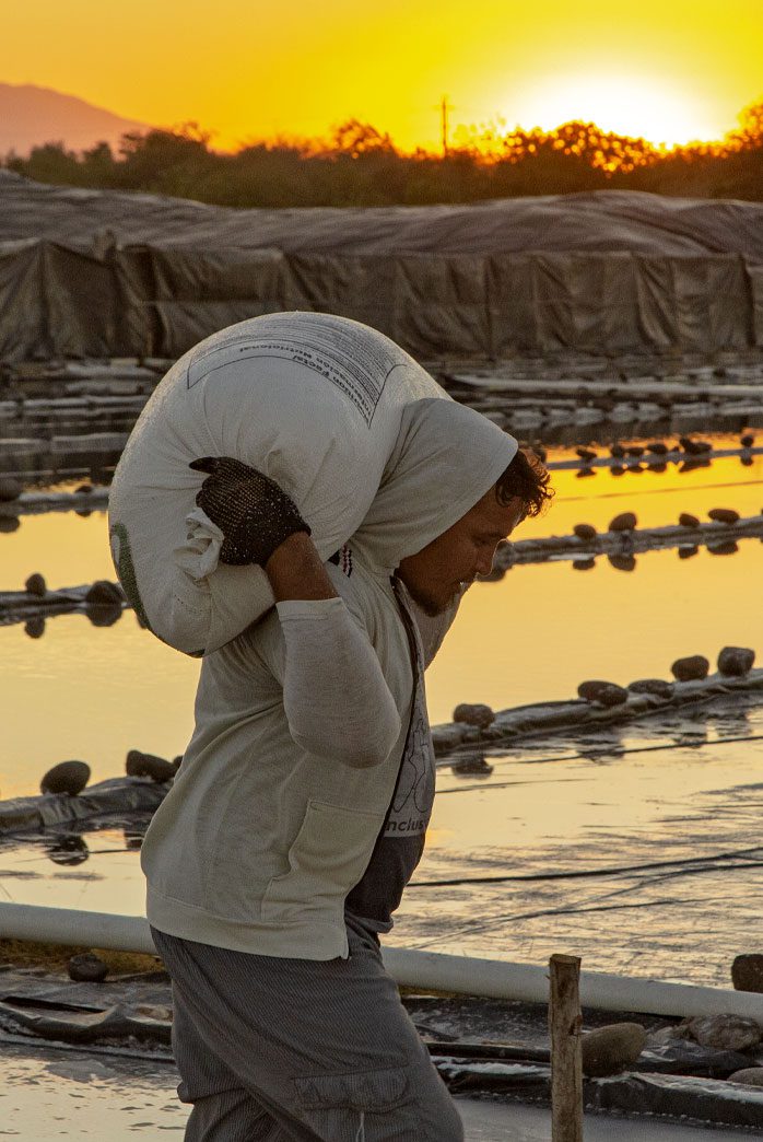 A man carries a big bag of salt across shoulders with sunset behind.