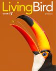 Cover of Living Bird magazine--image is a black and white bird with a giant red, orange and yellow bill with a black tip, head back with a berry thrown up between it's bill.