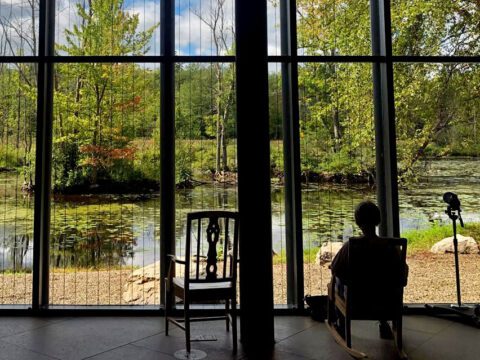 a person in a rocking chair looks at trees and a pond through a wall of windows