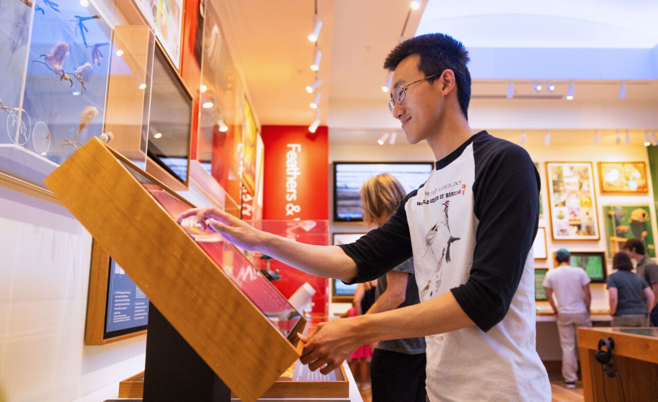 Man interacts with a panel in a museum exhibit.