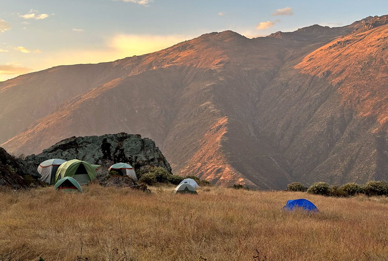 Dome tents in a grassy field with dry, brown mountains in the background.