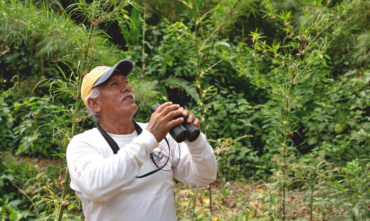 Un hombre mayor de pie en el bosque, sosteniendo binoculares, mirando hacia arriba y sonriendo.