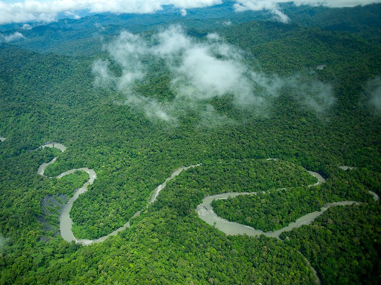 Aerial photo of a green, lush, forest with winding river.