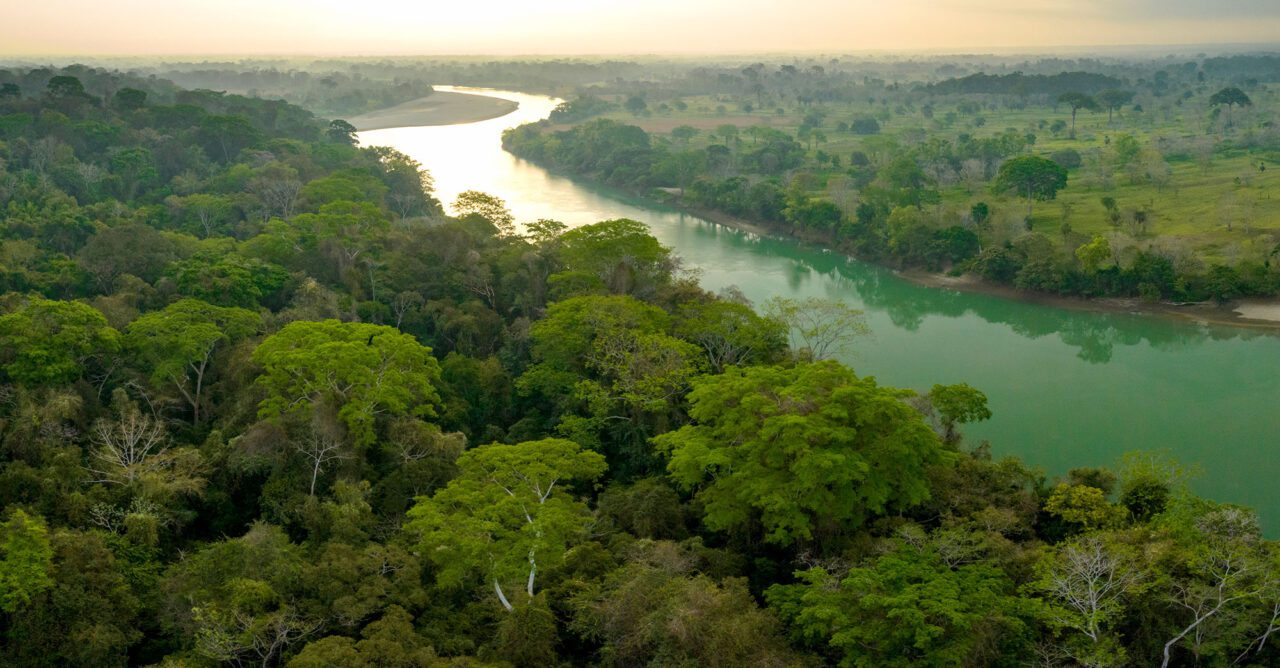 Vista aérea de un río con una selva intacta a un lado y un paisaje escaso al otro, todo iluminado con un brillo verde.